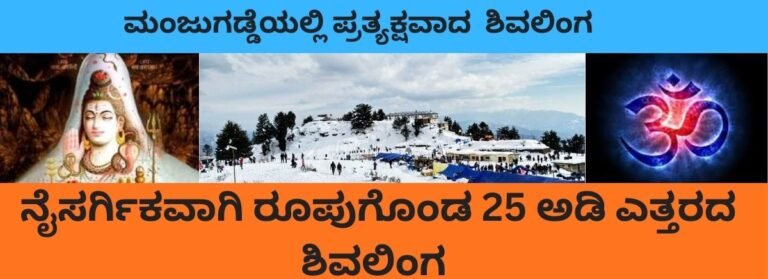 ಮಂಜುಗಡ್ಡೆಯಲ್ಲಿ-ಪ್ರತ್ಯಕ್ಷವಾದ-ಶಿವಲಿಂಗ